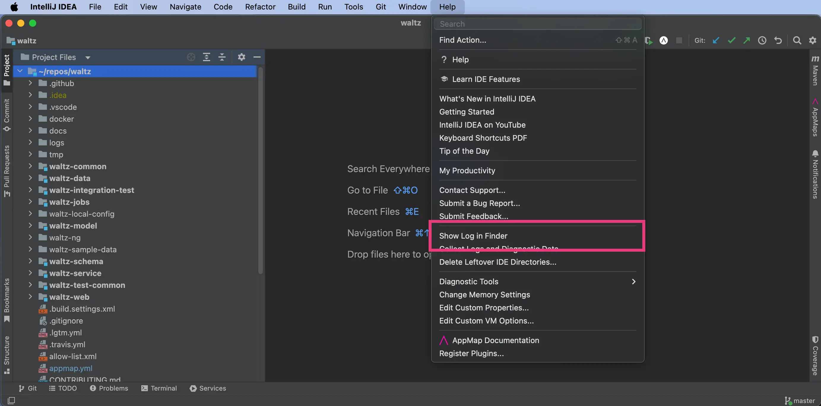 JetBrains Debug Show Log