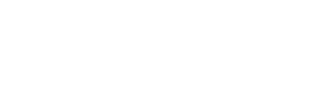 MongoDB Partner