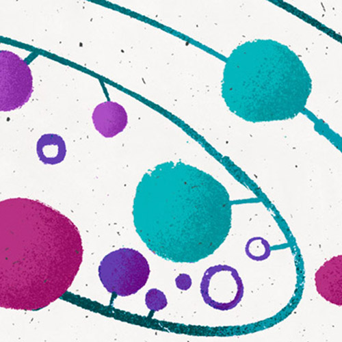Celebrating the Women in My Orbit